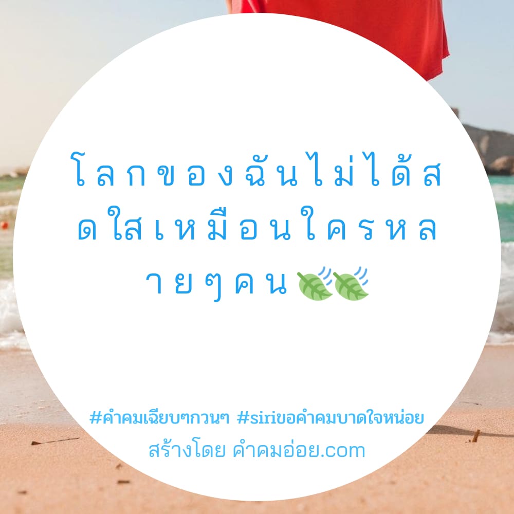 265 คำคมบาดใจ คําคมเฉียบๆกวนๆ ชอบอยู่คนเดียว​หรอ​ ป่าว!แต่เลือกไม่ได้